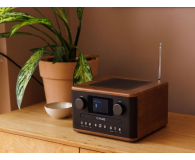 PURE Classic C-D4 Coffee Brown/Walnut EU/UK - 1538312 - zdjęcie 5
